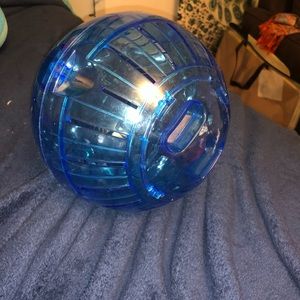 Blue Hamster Ball